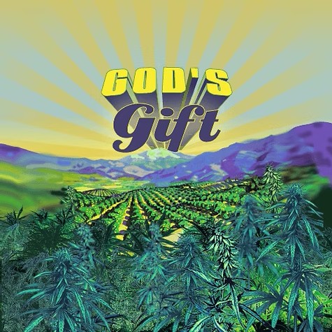 Withit Weed: God S Gift