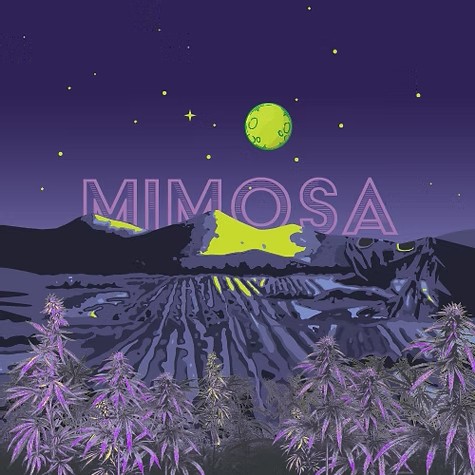 Withit Weed: Mimosa