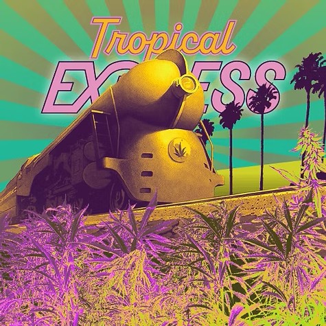 WIW Tropical Express Shake - 28g