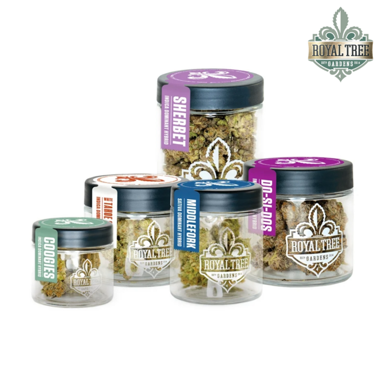 Alien Apple Cookies