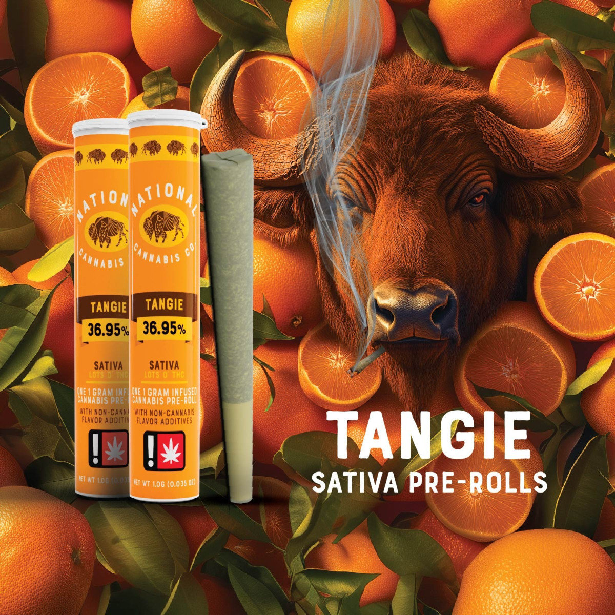 National Cannabis Co.: Tangie