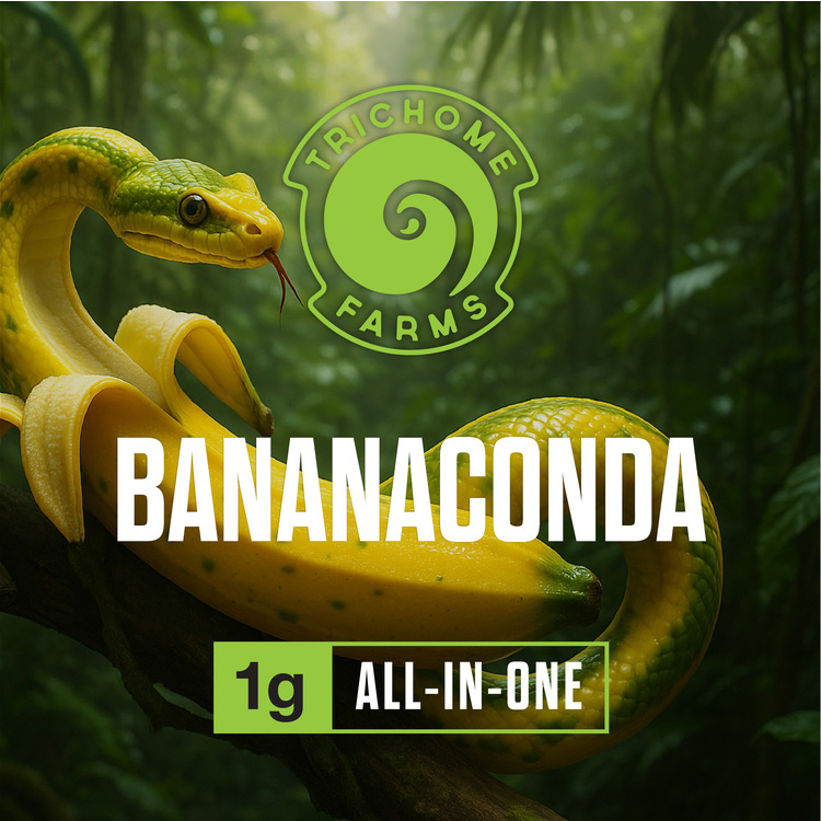 AIO Live Bananaconda 1g Cart