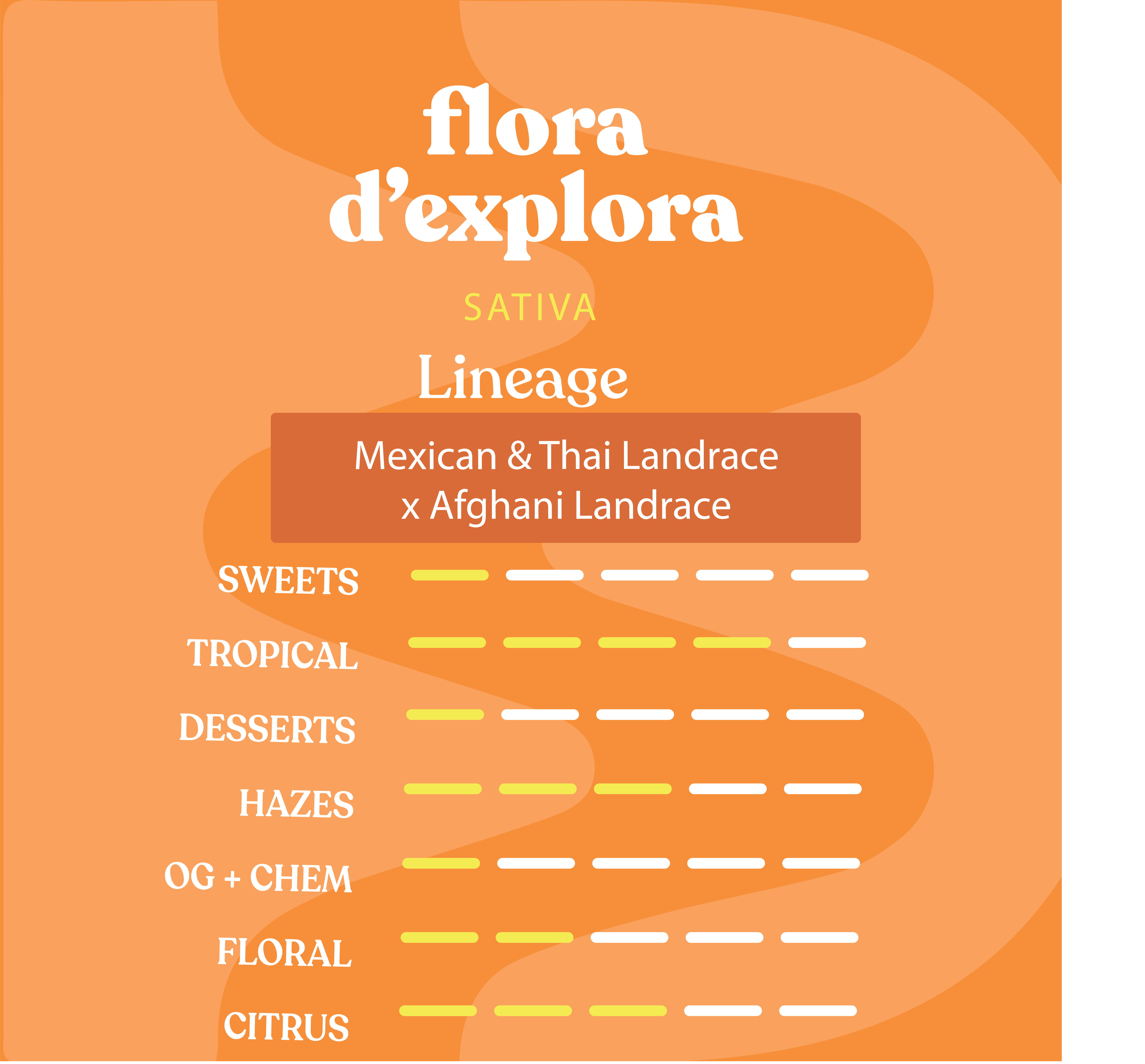 Flower Flora