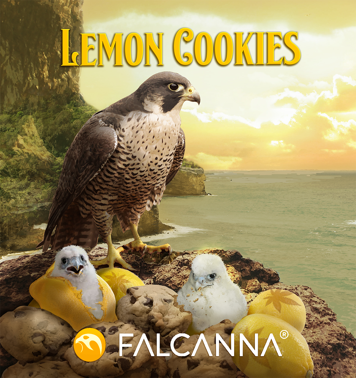 Lemon Cookies