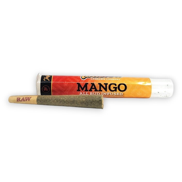 Mango - IPR