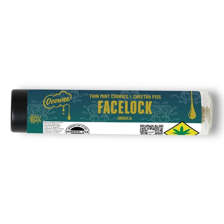 FaceLock - IPR