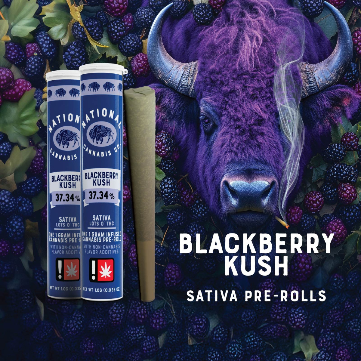 National Cannabis Co.: Blackberry Kush