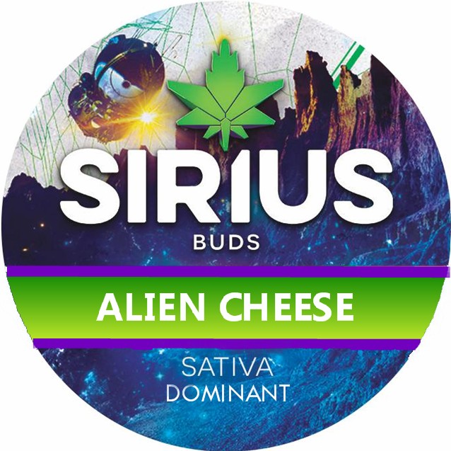 S-Alien Cheese 3.5g