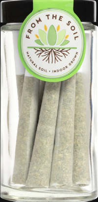 Standard (8) - Lemon Amnesia - 6g