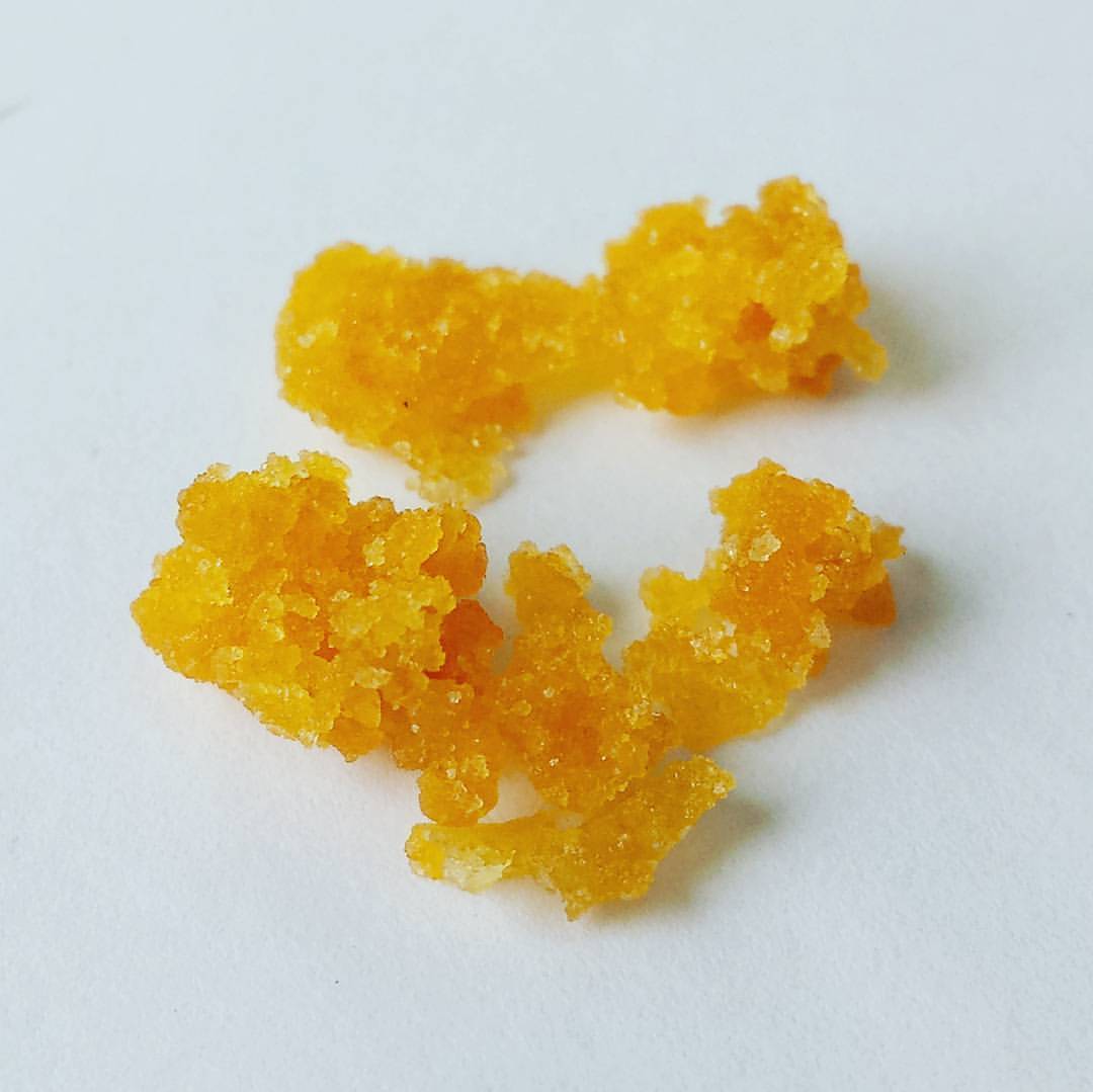 Late Bloomer - 1g 1g Hydrocarbon Concentrate - Ooowee