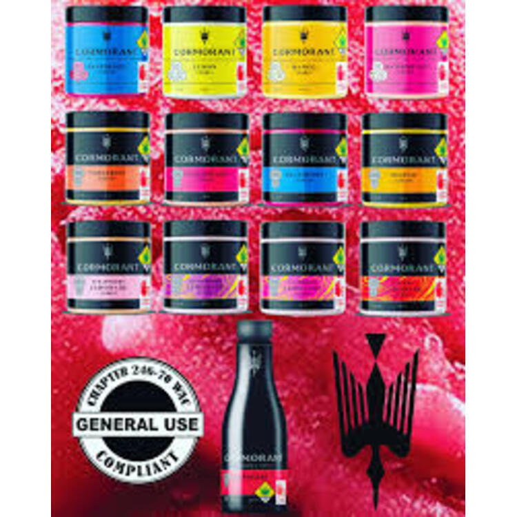 4oz Blueberry Sorbet