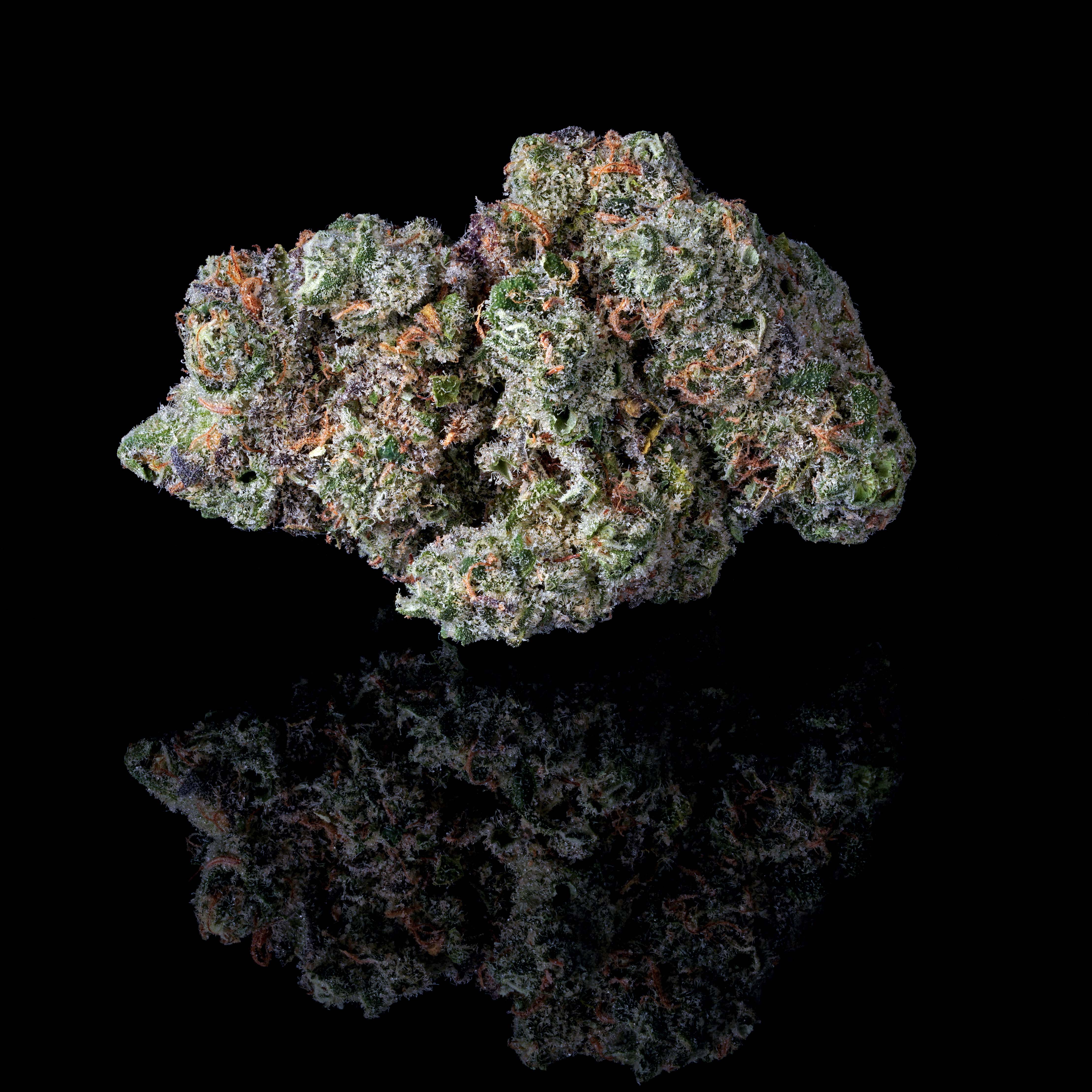 Bacon's Buds: Big Smooth