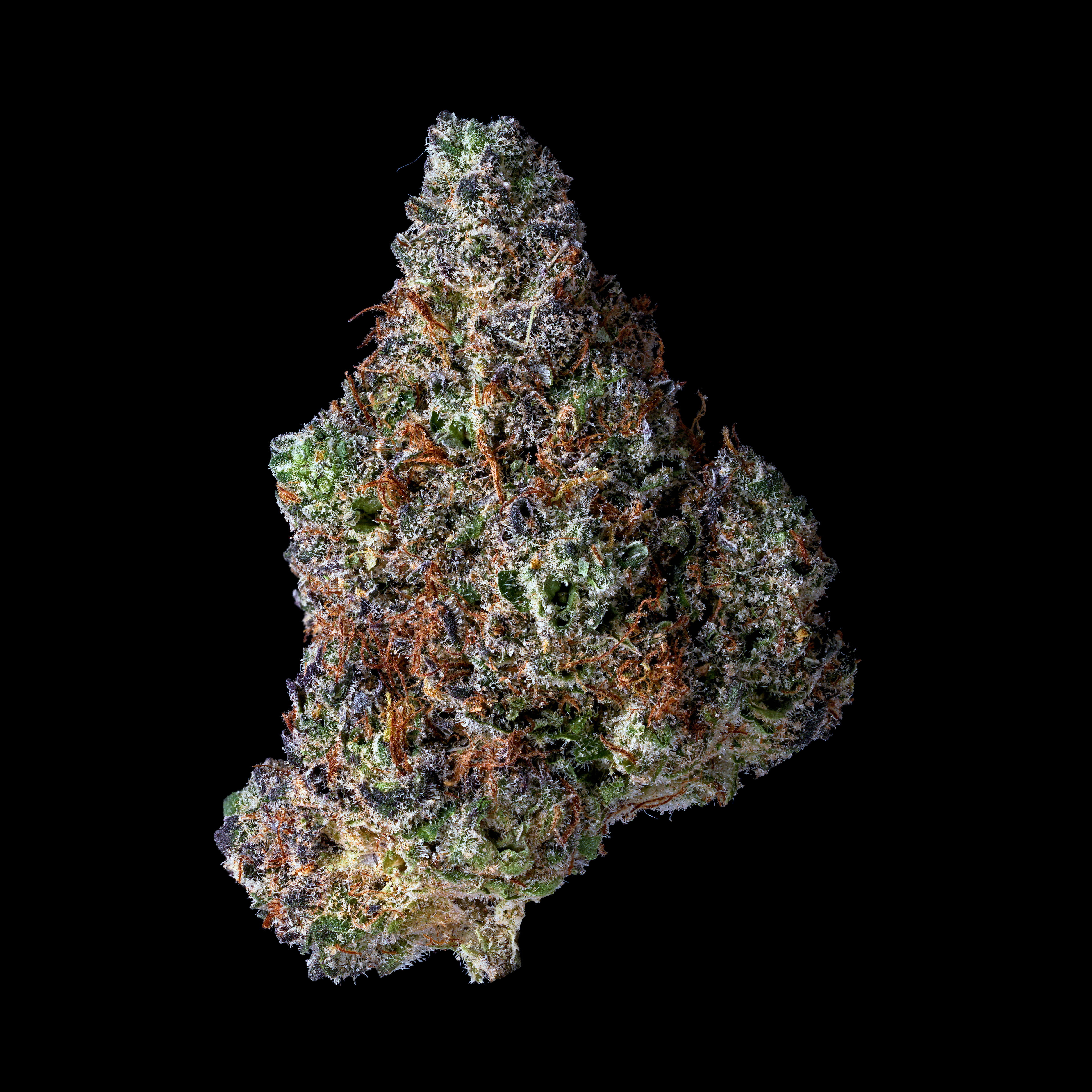 Bacon's Buds: Mimosa