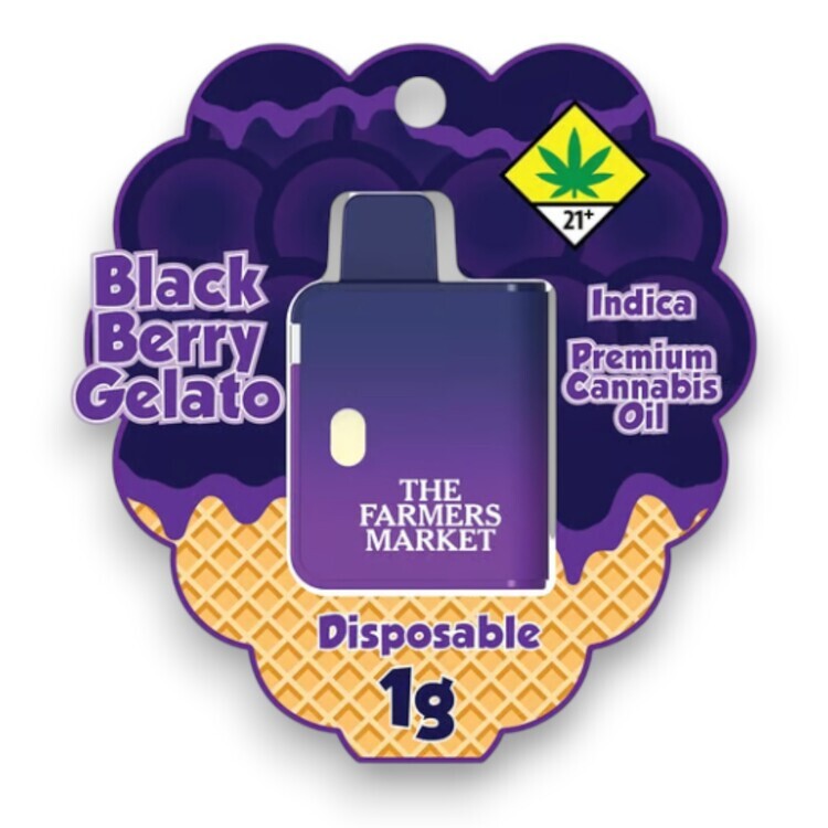 Blackberry Gelato | Disposable | 1G