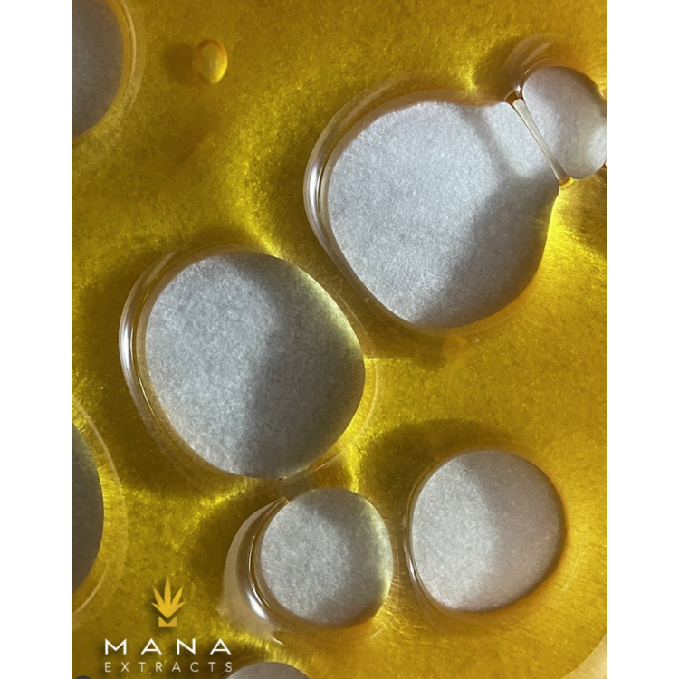 1g - Papaya Cake Shatter (concentrate) - Mana