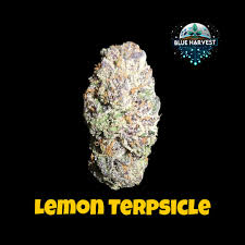 Blue Harvest | Wholes | Lemon Terpsicle | 3.5g