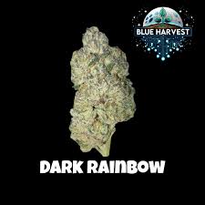 Blue Harvest | Wholes | Dark Rainbow | 3.5g