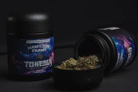 Hamilton Farms x Tokesly | Grape Rock Candy | 3.5g