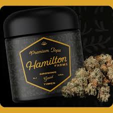 Hamilton Farms | Premium Tops | Wholes | Panama Red | 3.5g