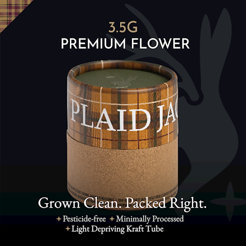 Plaid Jacket | Hash Burger Flower | 3.5g