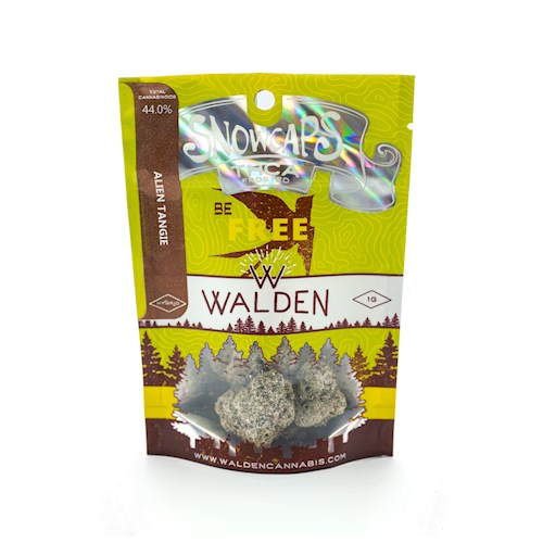 Walden - Free - Honey Runtz Infused Snowcap
