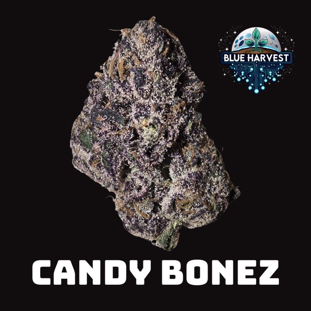 Blue Harvest | Wholes | Candy Bonez | 3.5g