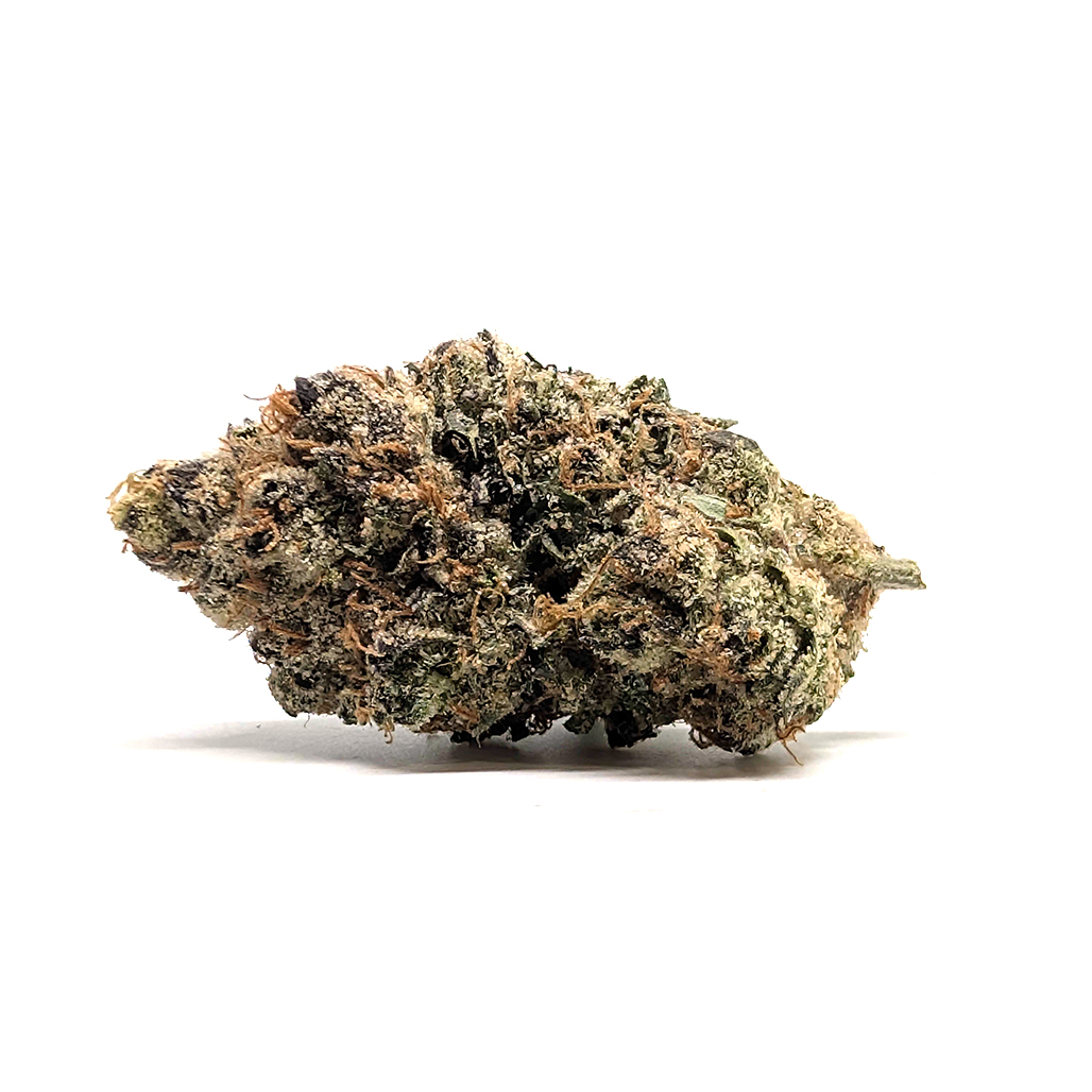 SugarTop Buddery - Gruntz - Platinum - I