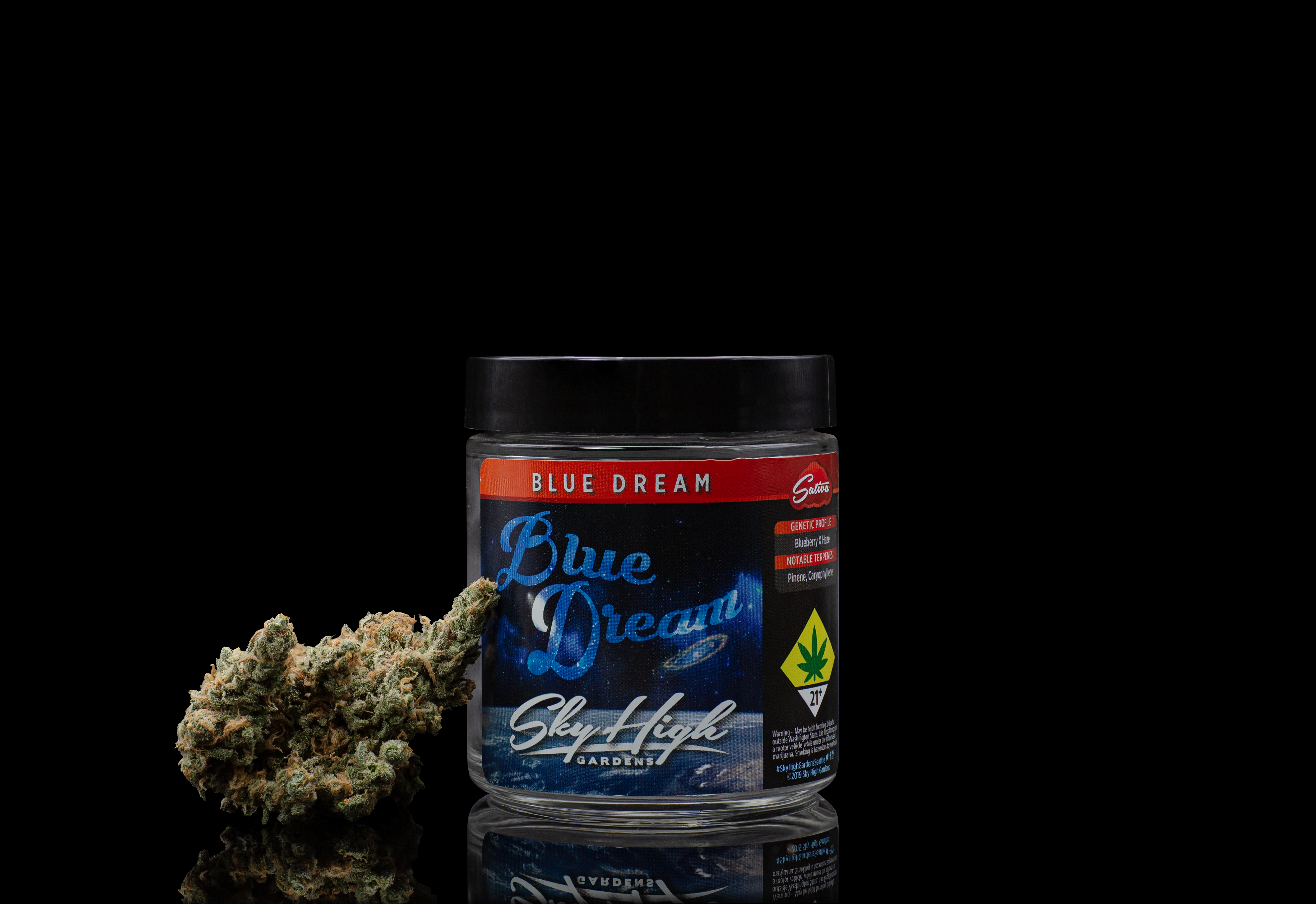 Blue Dream (S) Sky High - Sky High Gardens | Central District