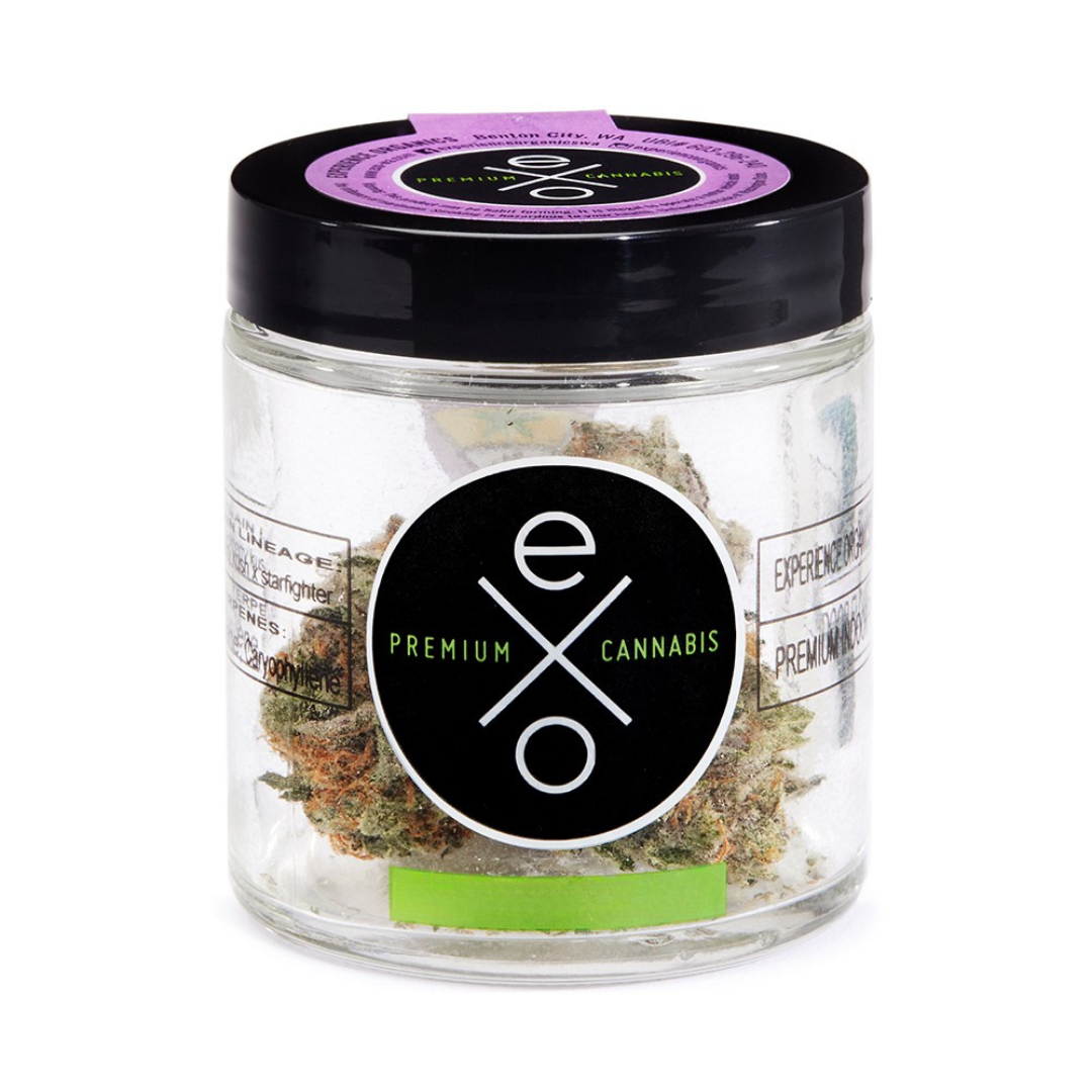 Fruitstripez (I) EXO - Experience Organics | Central District