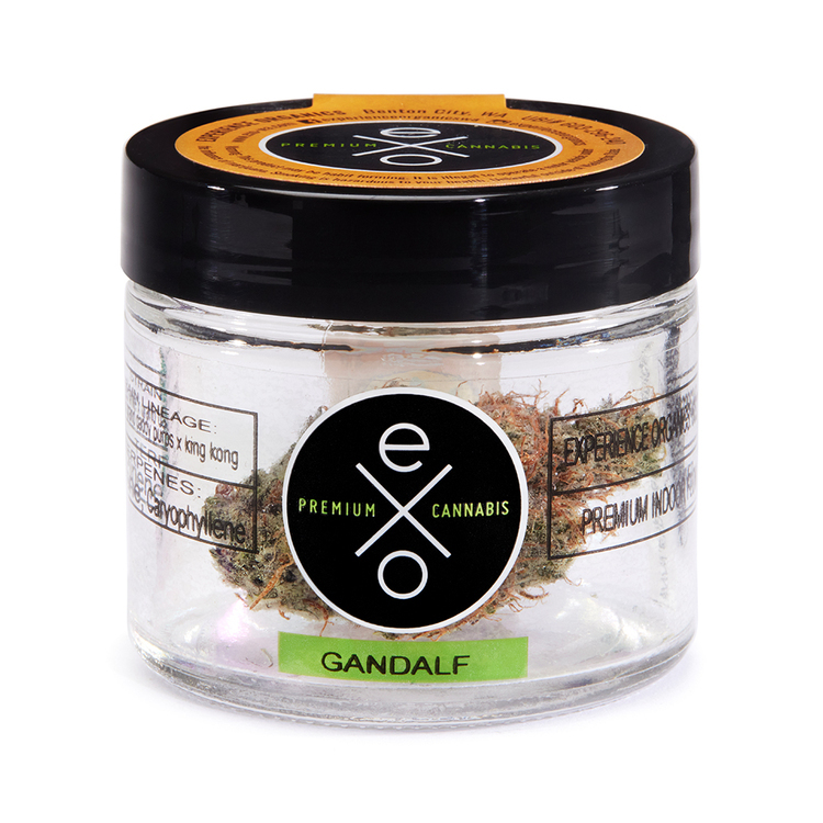 Gandalf (S) EXO