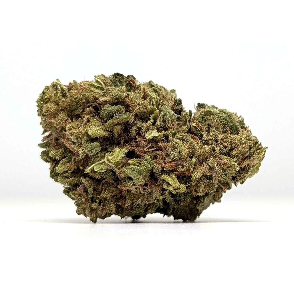 East Fork Cultivars - Sour Lemon Kush - Gold - CBD