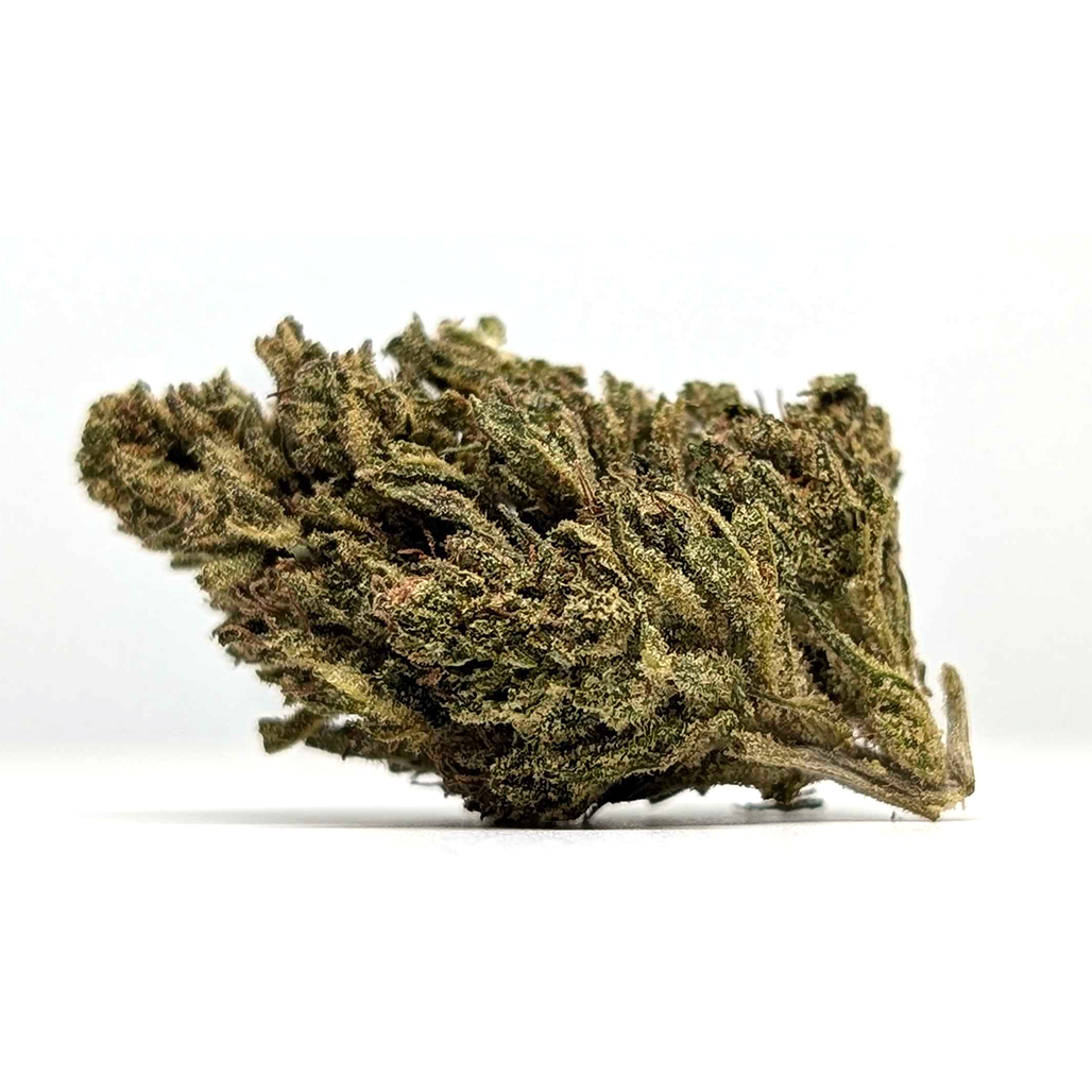 East Fork Cultivars - Oregon Sweetgum - Gold - CBD