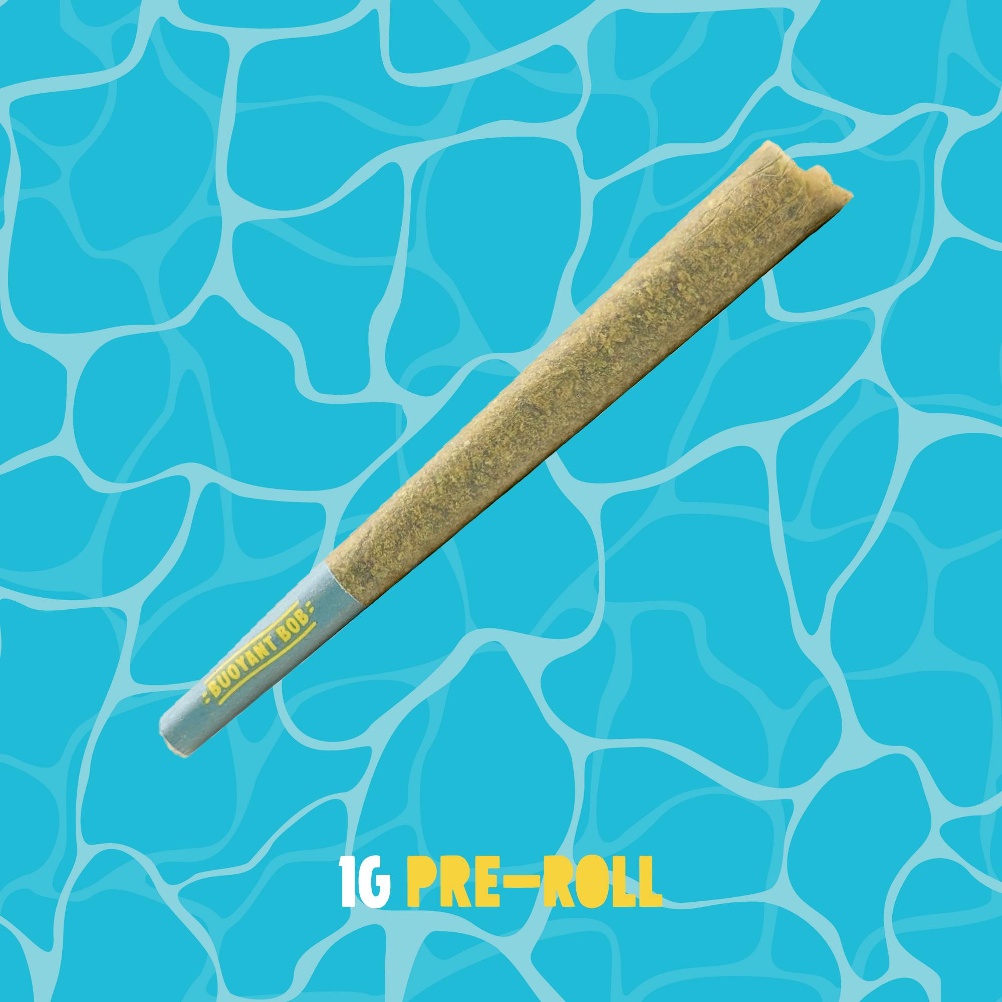 Buoyant Bob | Jellyfish Jam | 1pk