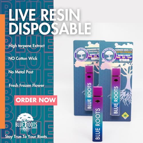 Blue Roots - Melon Bread Live Resin THCa Diamond Disposable