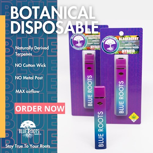 Blue Roots - Twisted Citrus Botanical Disposable