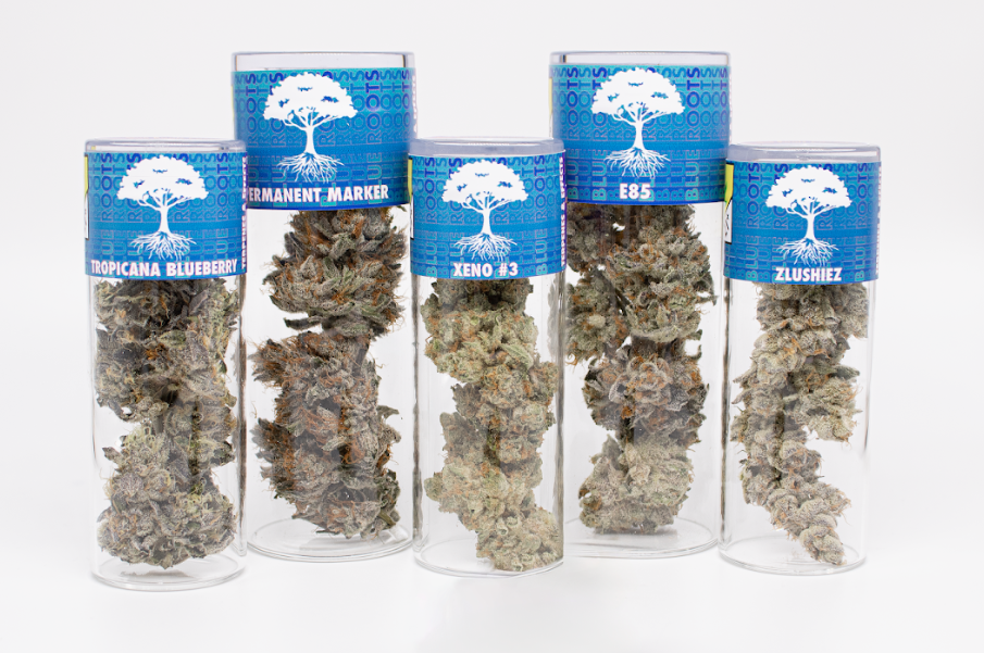 Sour Gak - Blue Roots | Central District