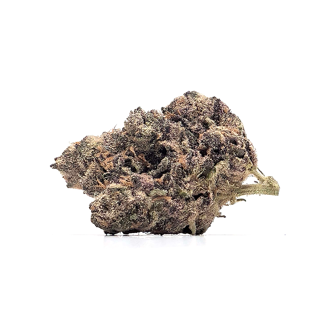 Oregon Roots - Galaxy Pop - Gold - H