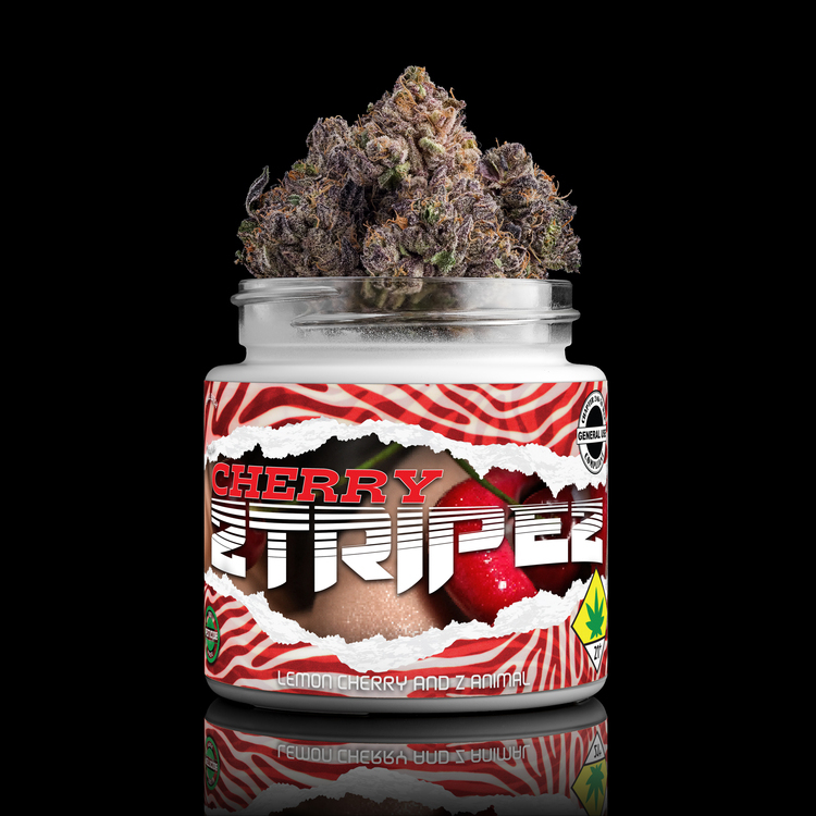 Cherry Ztripez