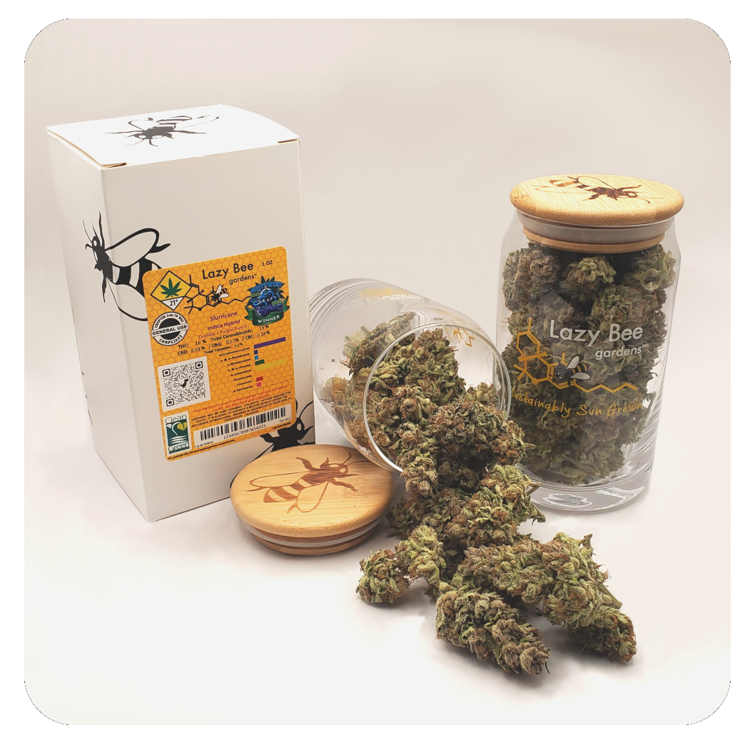Kiwi Daiquiri (S) Lazy Bee - SP 420 - Lazy Bee Gardens | Central