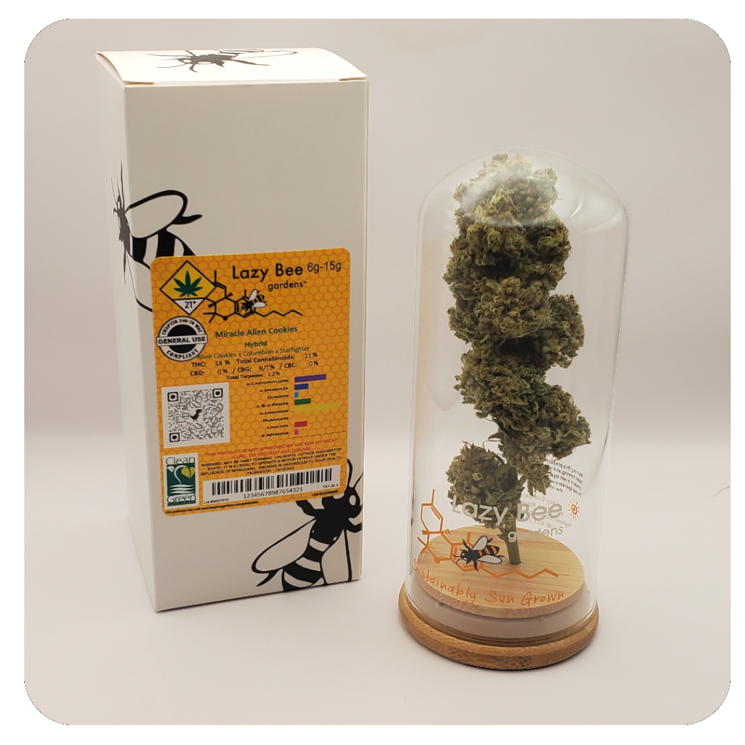 じゃがビー Powderhound (S) Lazy Bee - Lazy Bee Gardens | Central District
