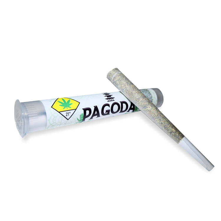 Papaya 1g Pre Roll (Pagoda)