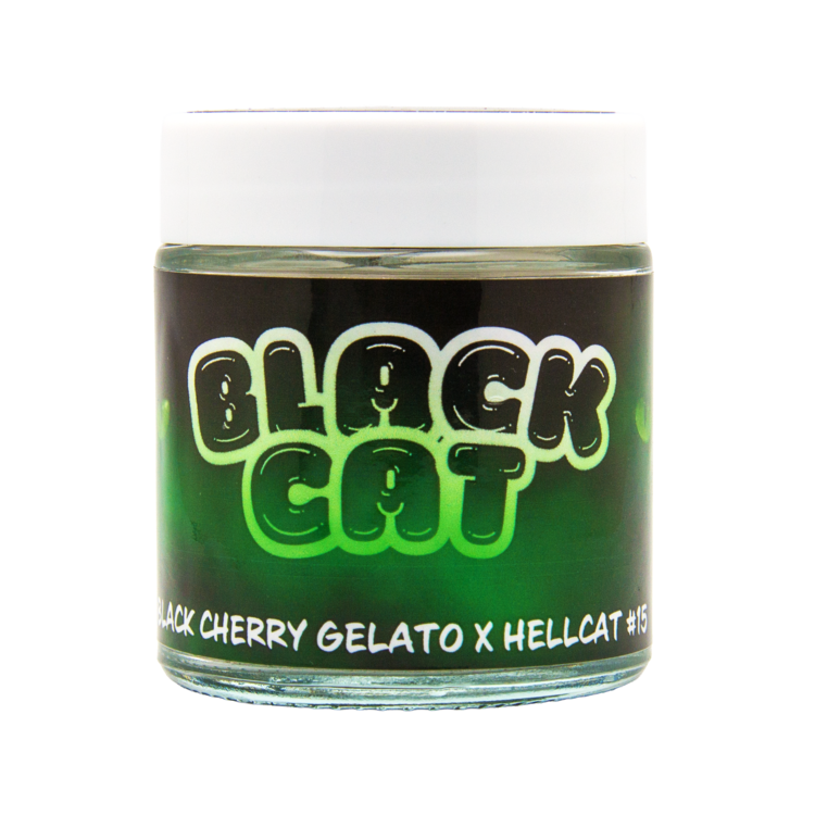 Black Cat