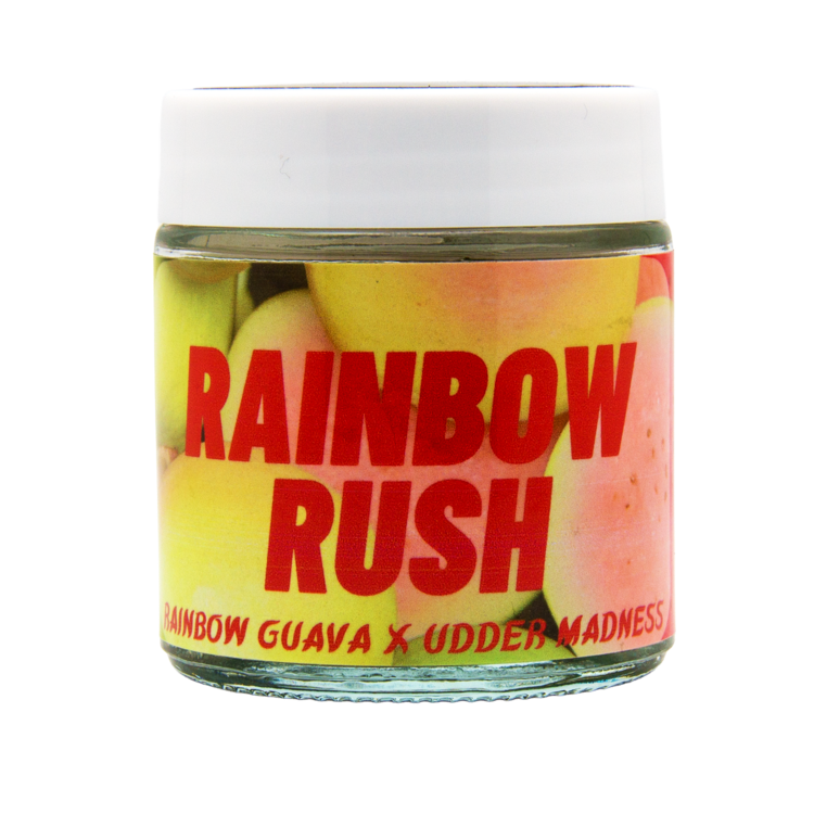 Rainbow Rush