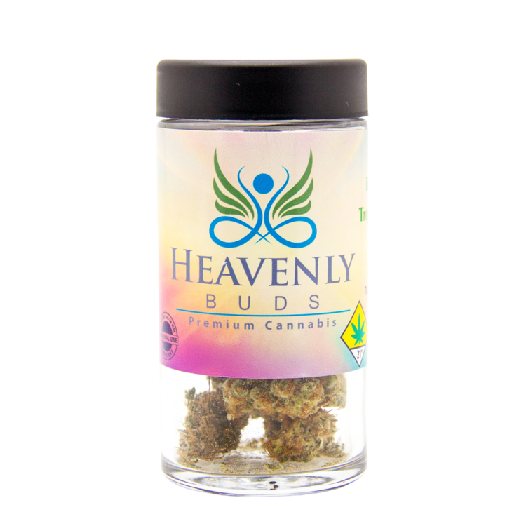 Flower Lemon Beltz