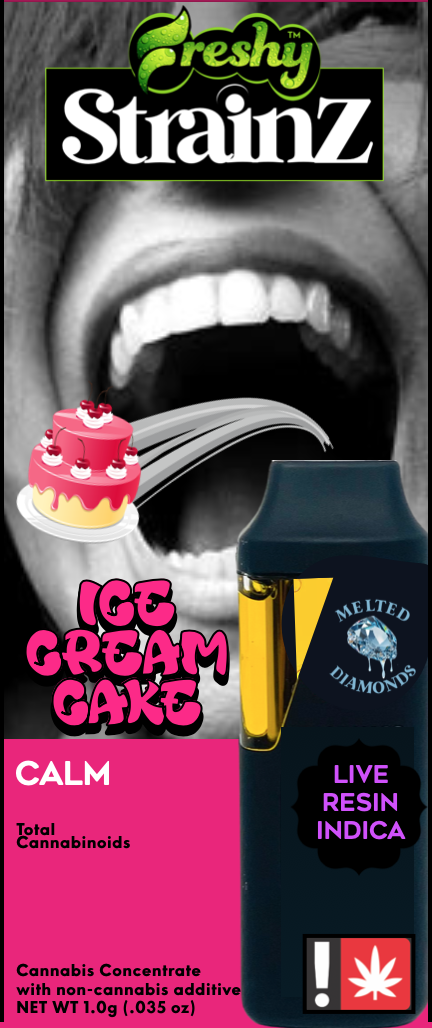 Freshy: Ice Cream Cake