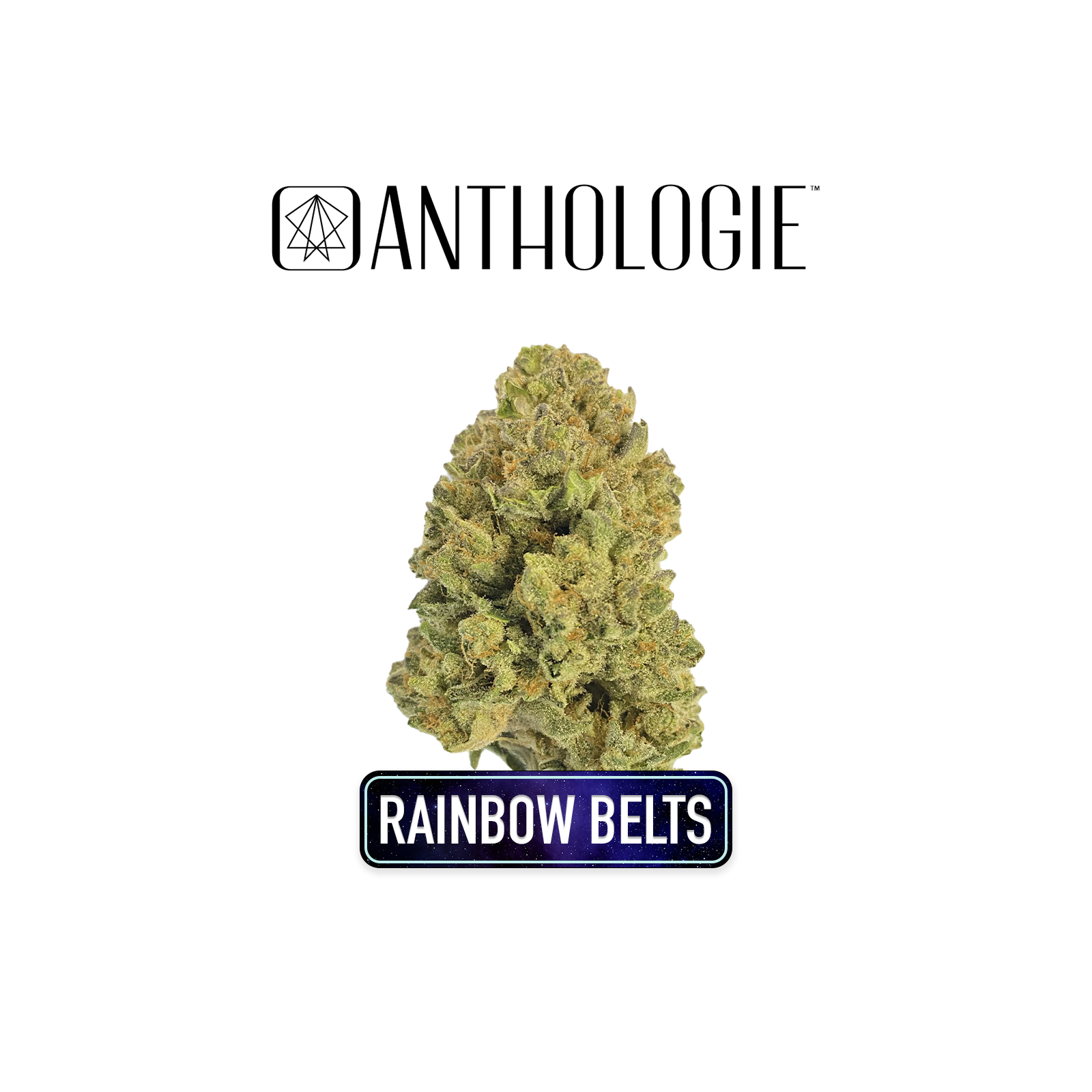 Anthologie | Whole Bud | Rainbow Belts 3.0 | 3.5g