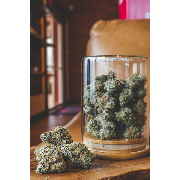 Watermelon Gelato Flower