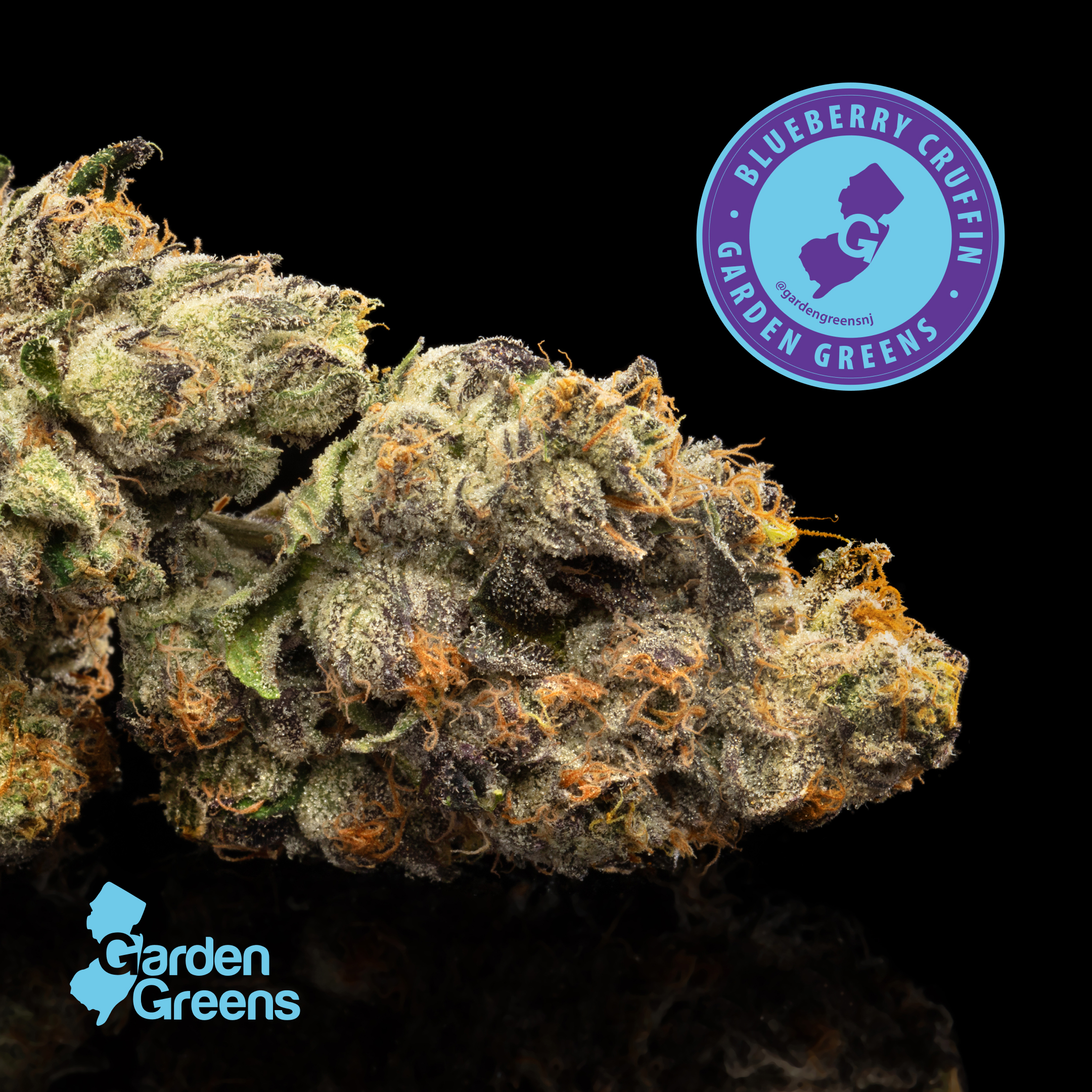 Garden Greens | Blueberry Cruffin | 5pk