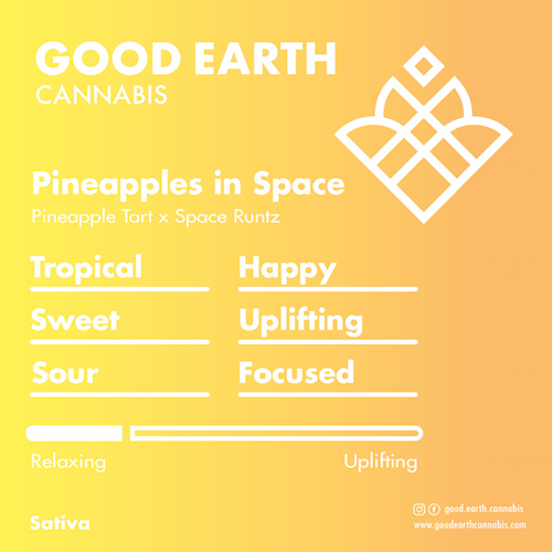 Pineapples in Space