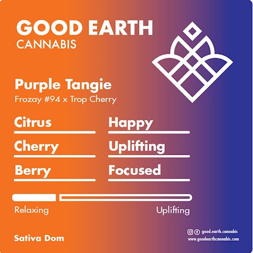 purple Tangie